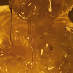 Nawilżający krem do rąk Milk&Honey Gold 75 ml