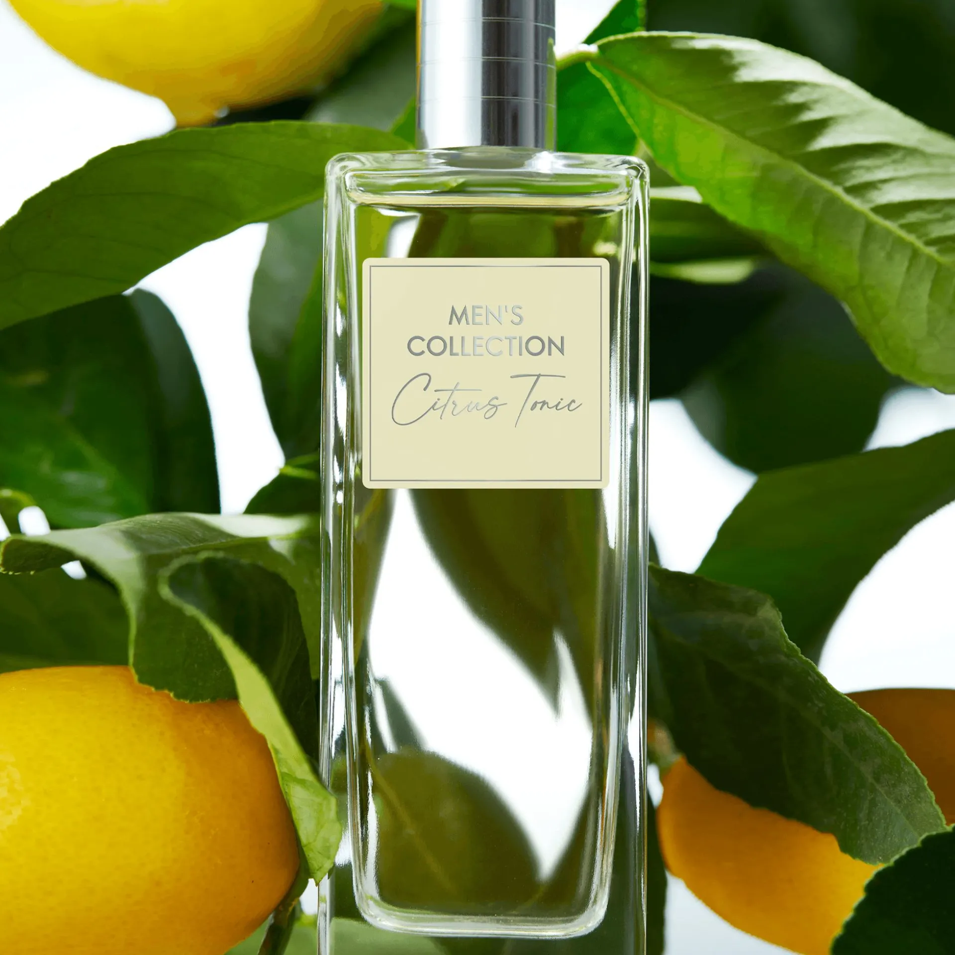 Woda toaletowa Men's Collection Citrus Tonic 75 ml